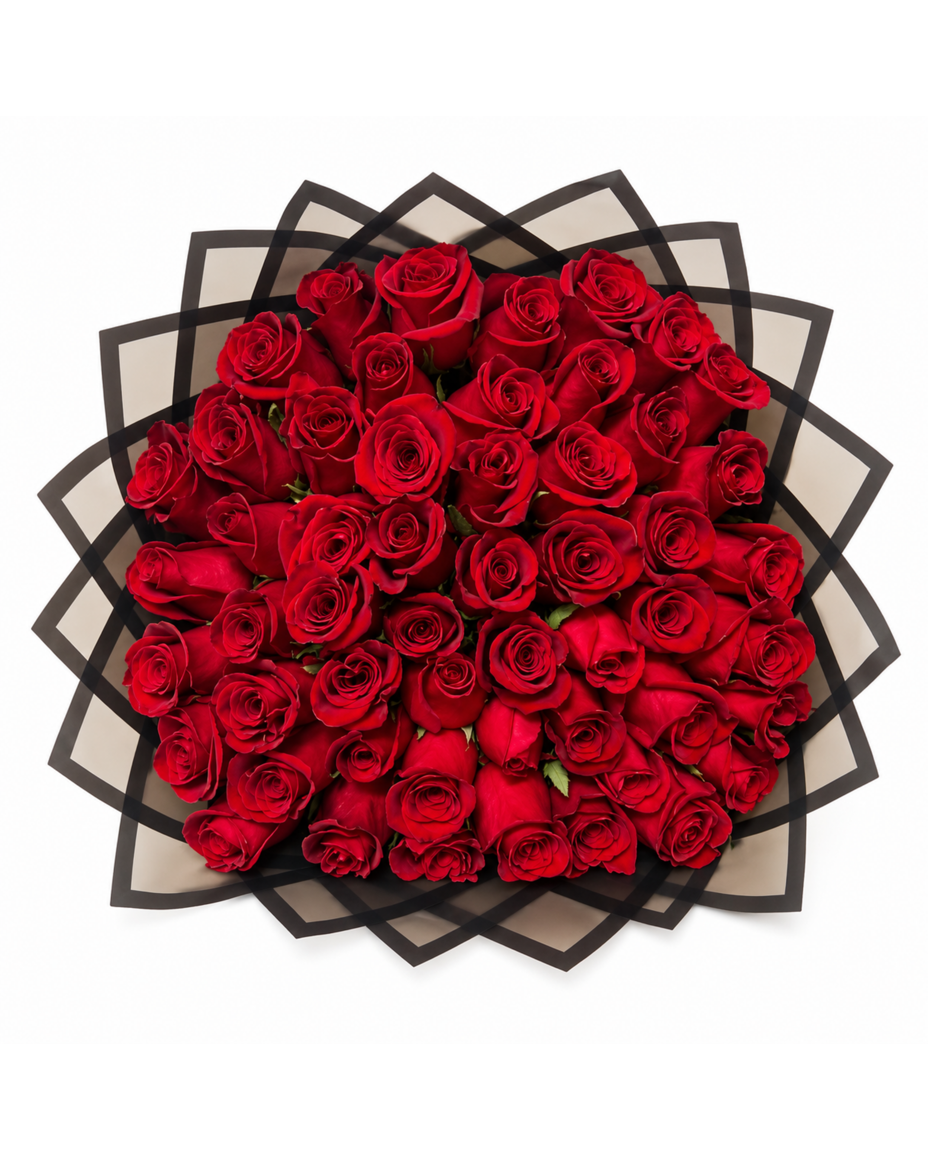 Bouquet of red roses in a decorative black and white box on a white background