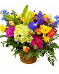 Colorful flower arrangement in a woven basket on a white background