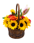 Floral arrangement in a wicker basket with sunflowers and other flowers on a white background