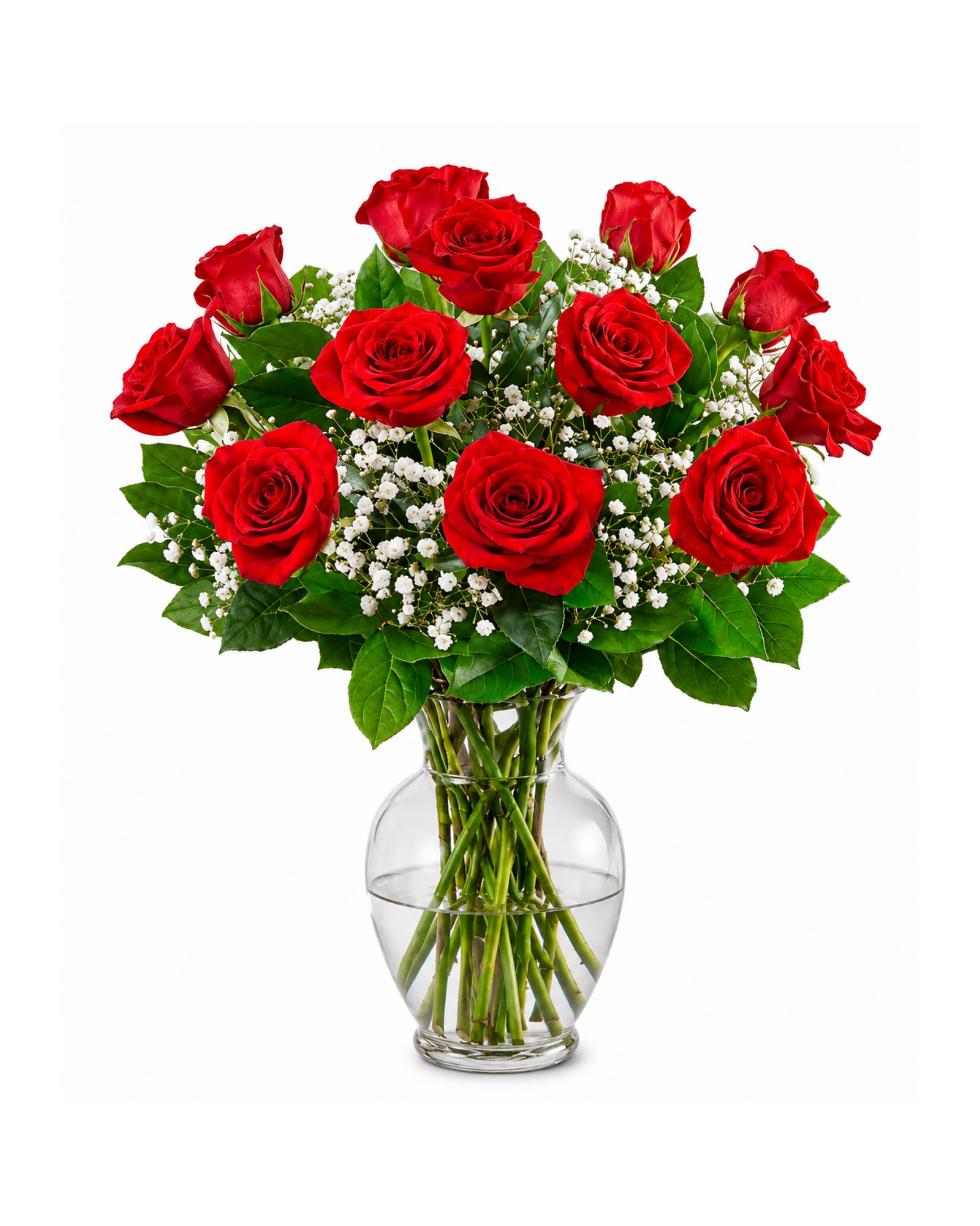 Classic Dozen Red Roses w/ Vase