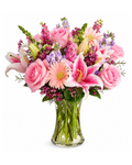 Bouquet of pink flowers in a clear vase on a white background