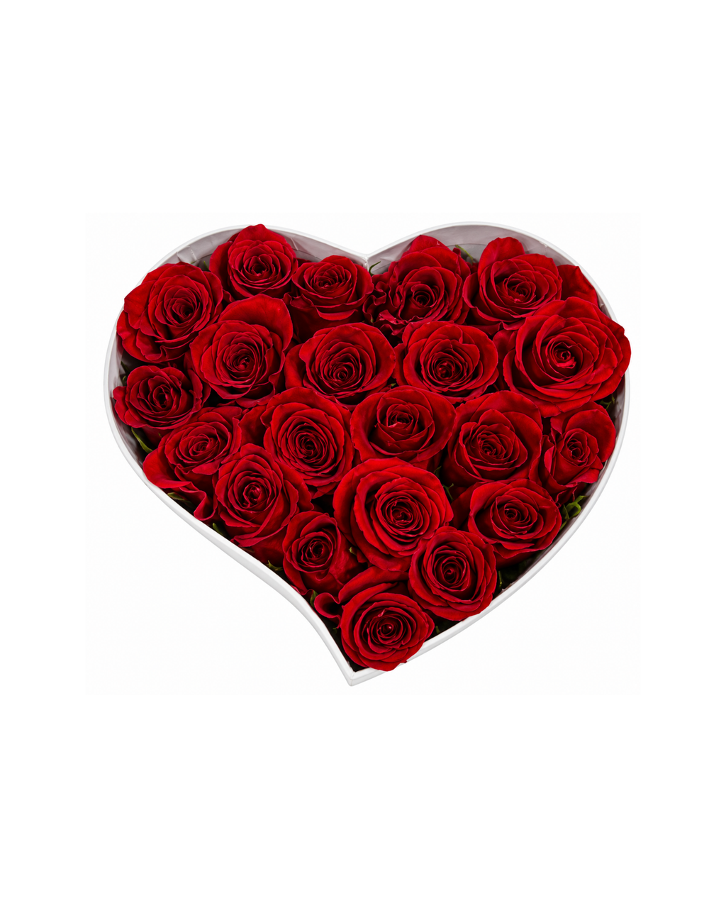 Heart-shaped box filled with red roses on a white background