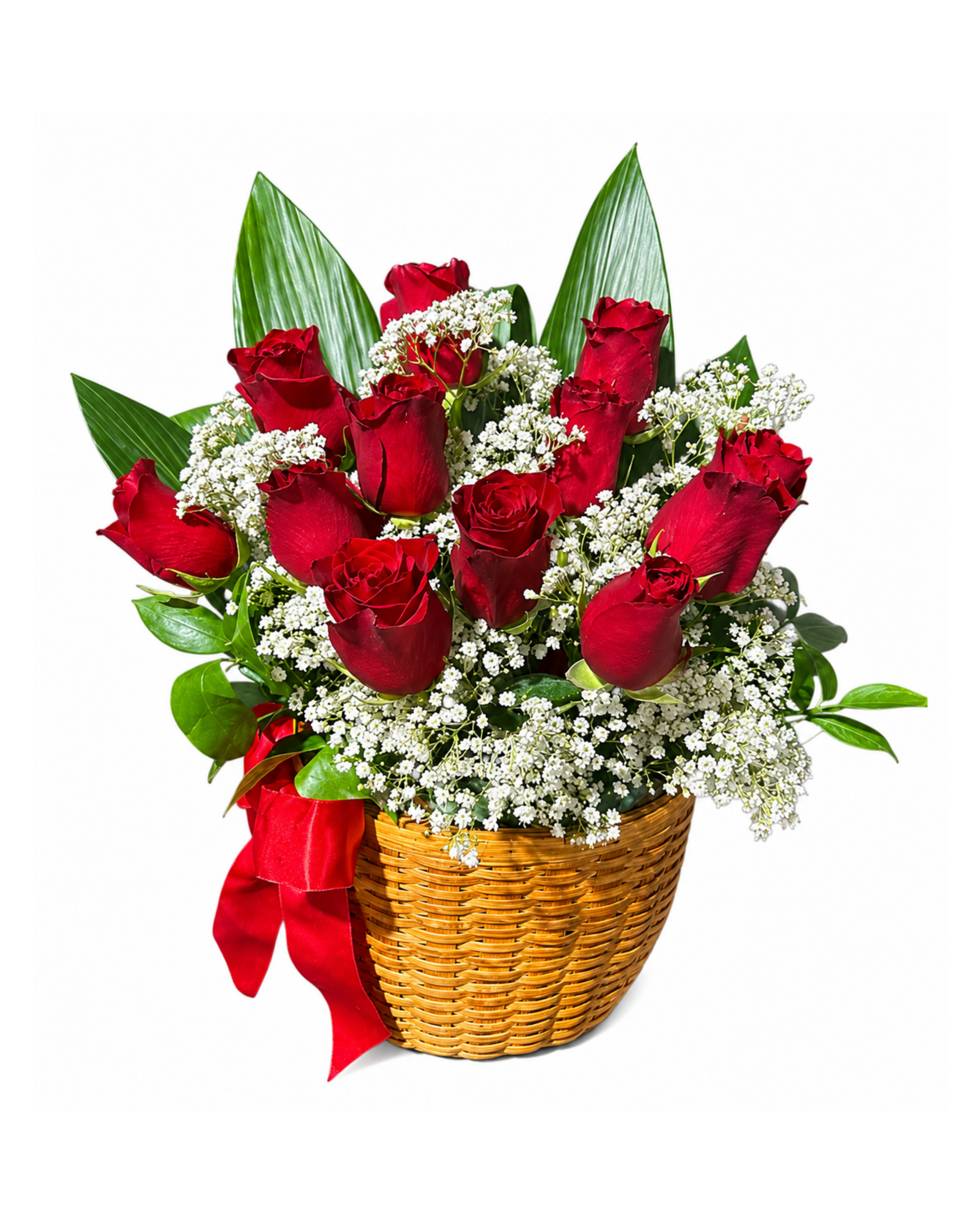 Basket of red roses and baby's breath with a red ribbon on a white background